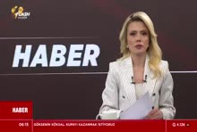 Flash Haber