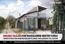 Haber Global