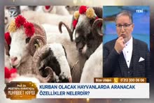 Kanal 7