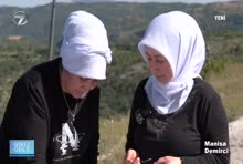 Kanal 7