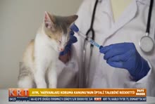 KRT TV