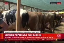TV100